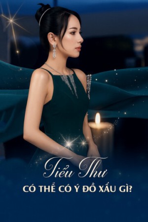 Tiểu Thư Có Thể Có Ý Đồ Xấu Gì? - Tiểu Thư Có Thể Có Ý Đồ Xấu Gì? (2025)